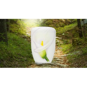 Hand Painted Biodegradable Cremation Ashes Funeral Urn / Casket – Calla Lily Flower